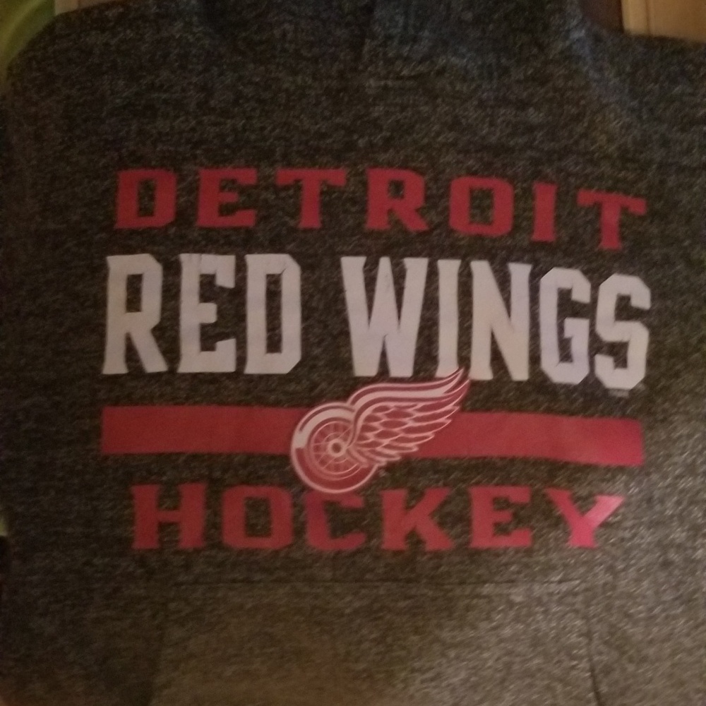 Boys red wings hoody